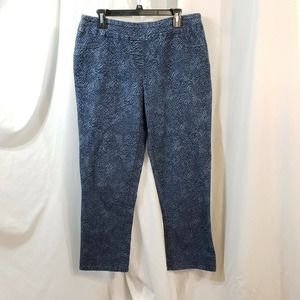 Westbound 16 x29 jegging skinny jean ankle snake